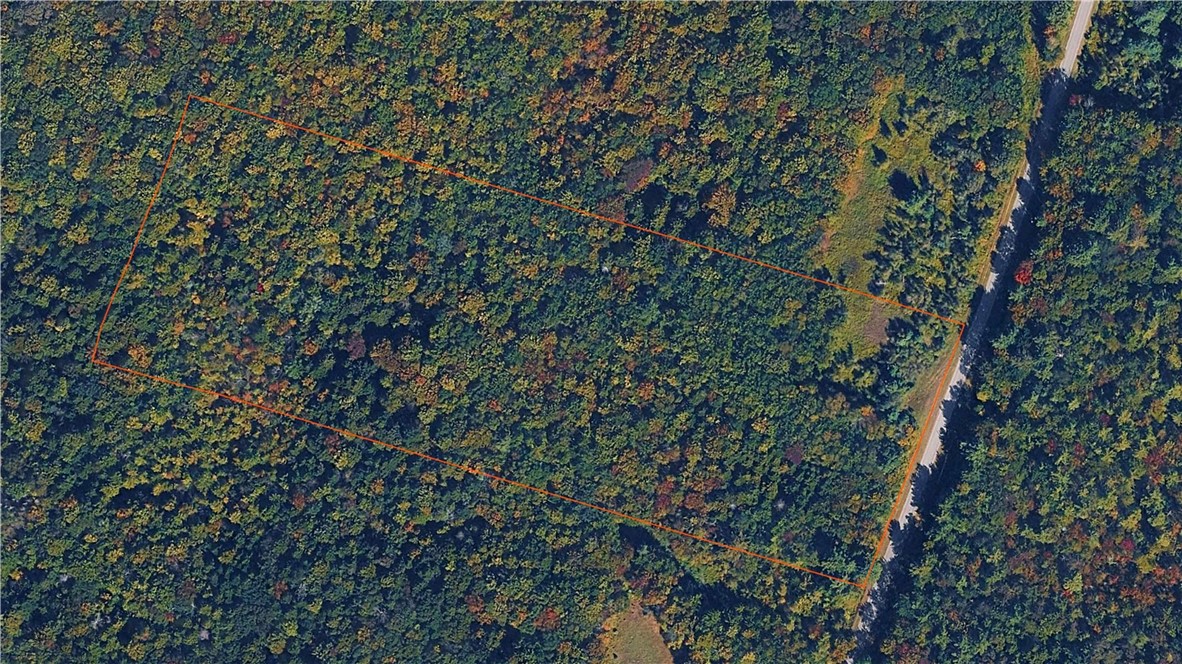 239 White Road Parish, NY 13131 - Photo 15 of 17