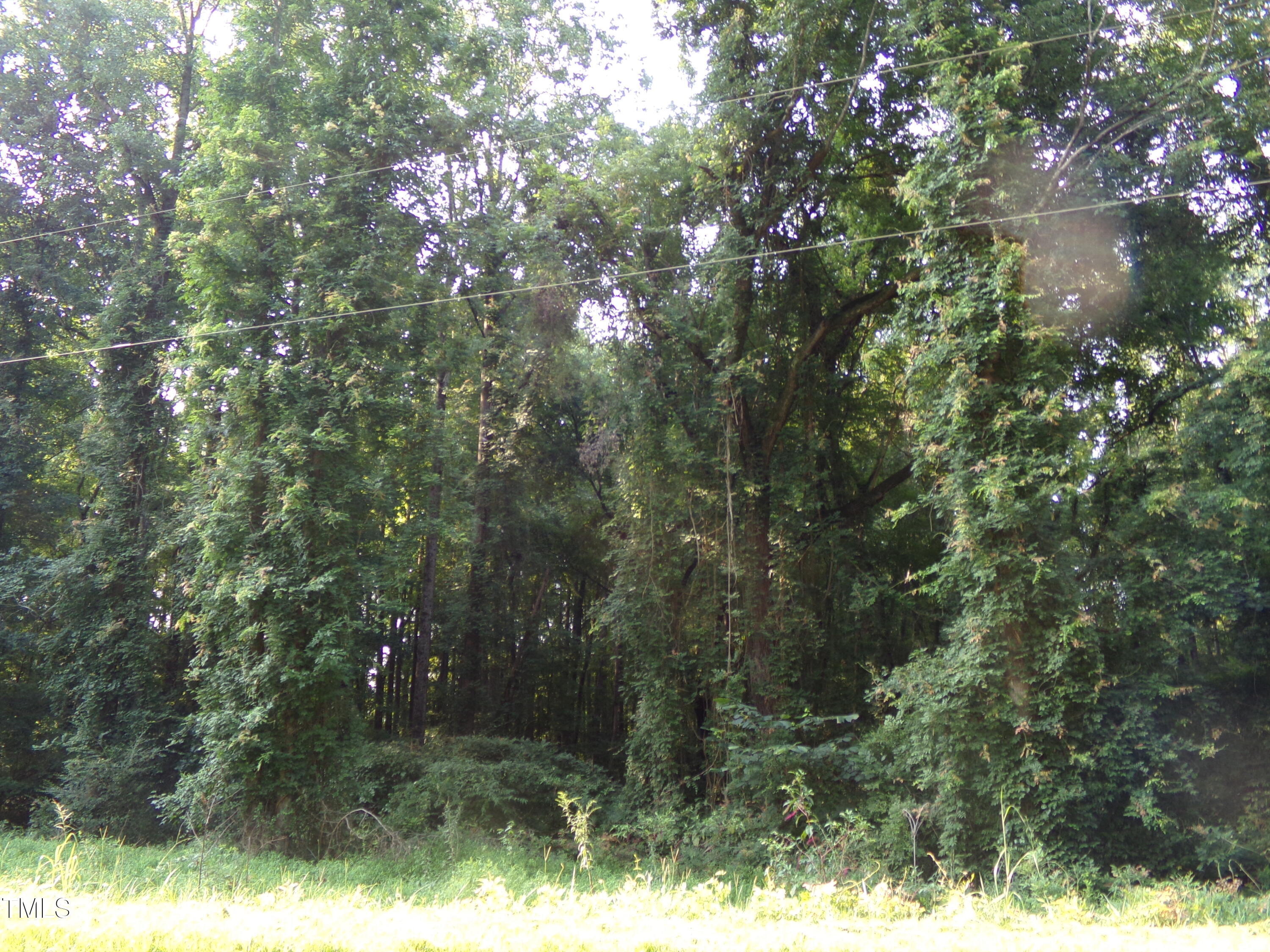 0 Anderson Road Zebulon, NC 27597 - Photo 2 of 5 100_0723