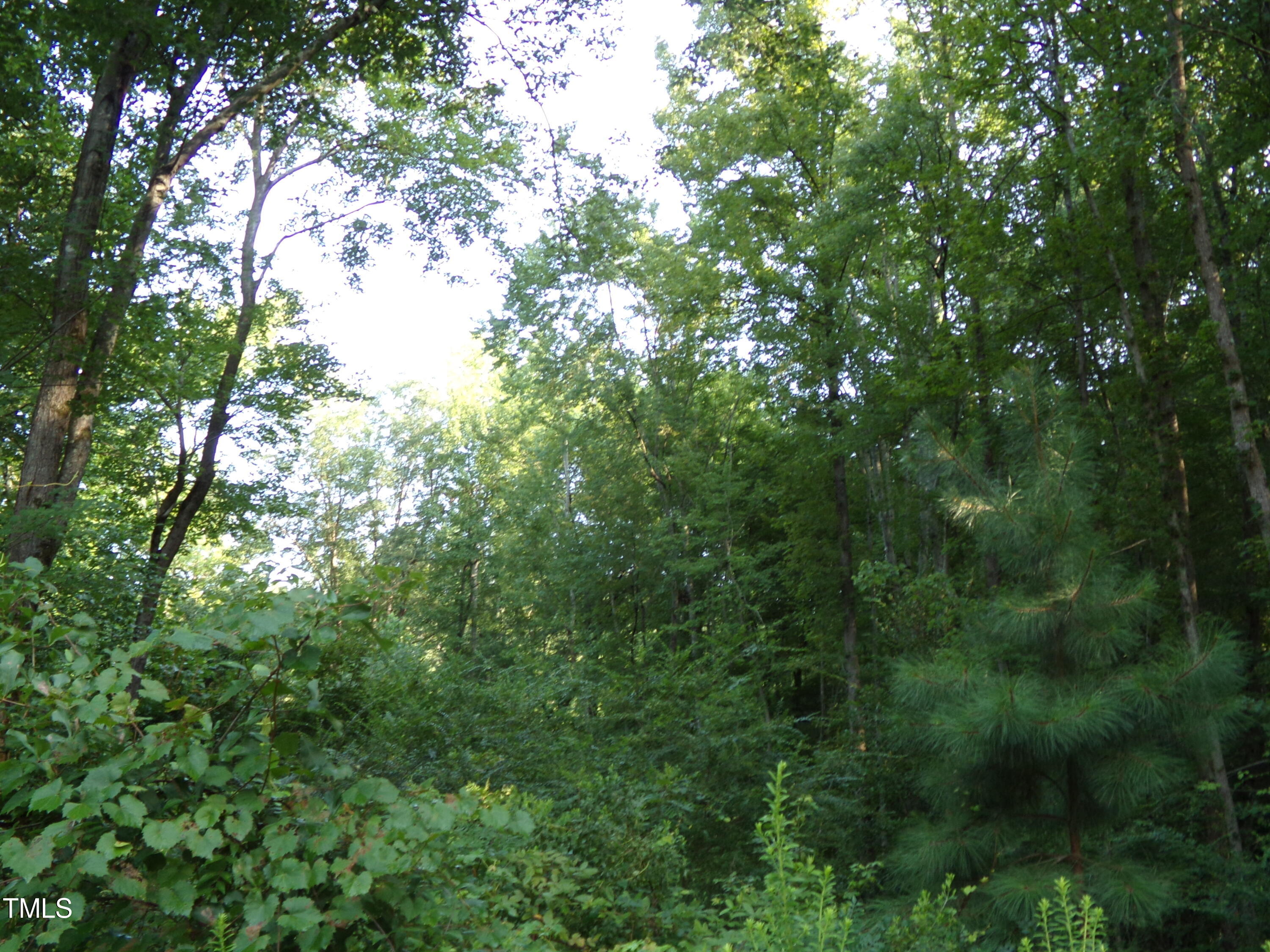 0 Anderson Road Zebulon, NC 27597 - Photo 3 of 5 100_0718