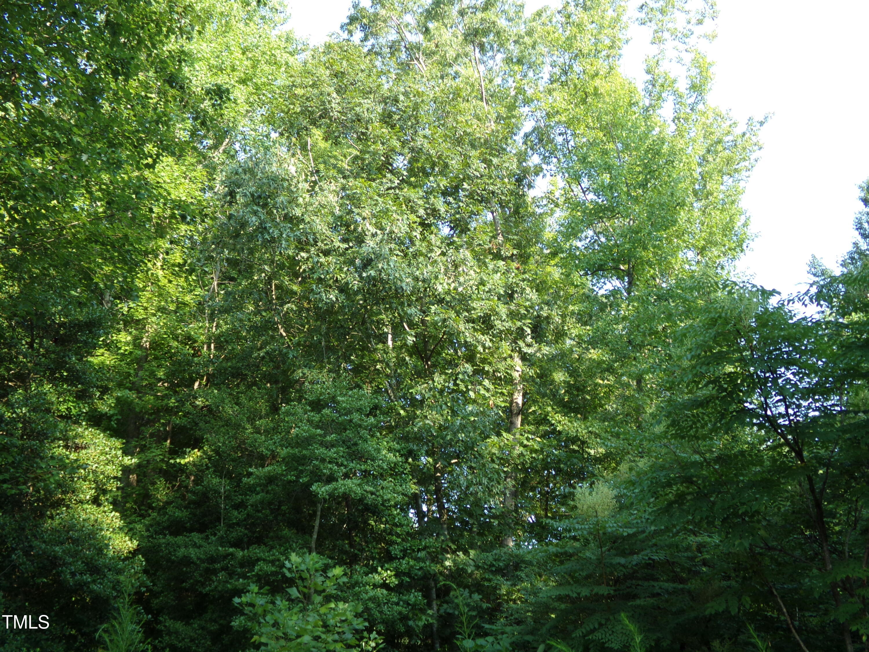 0 Anderson Road Zebulon, NC 27597 - Photo 4 of 5 100_0719