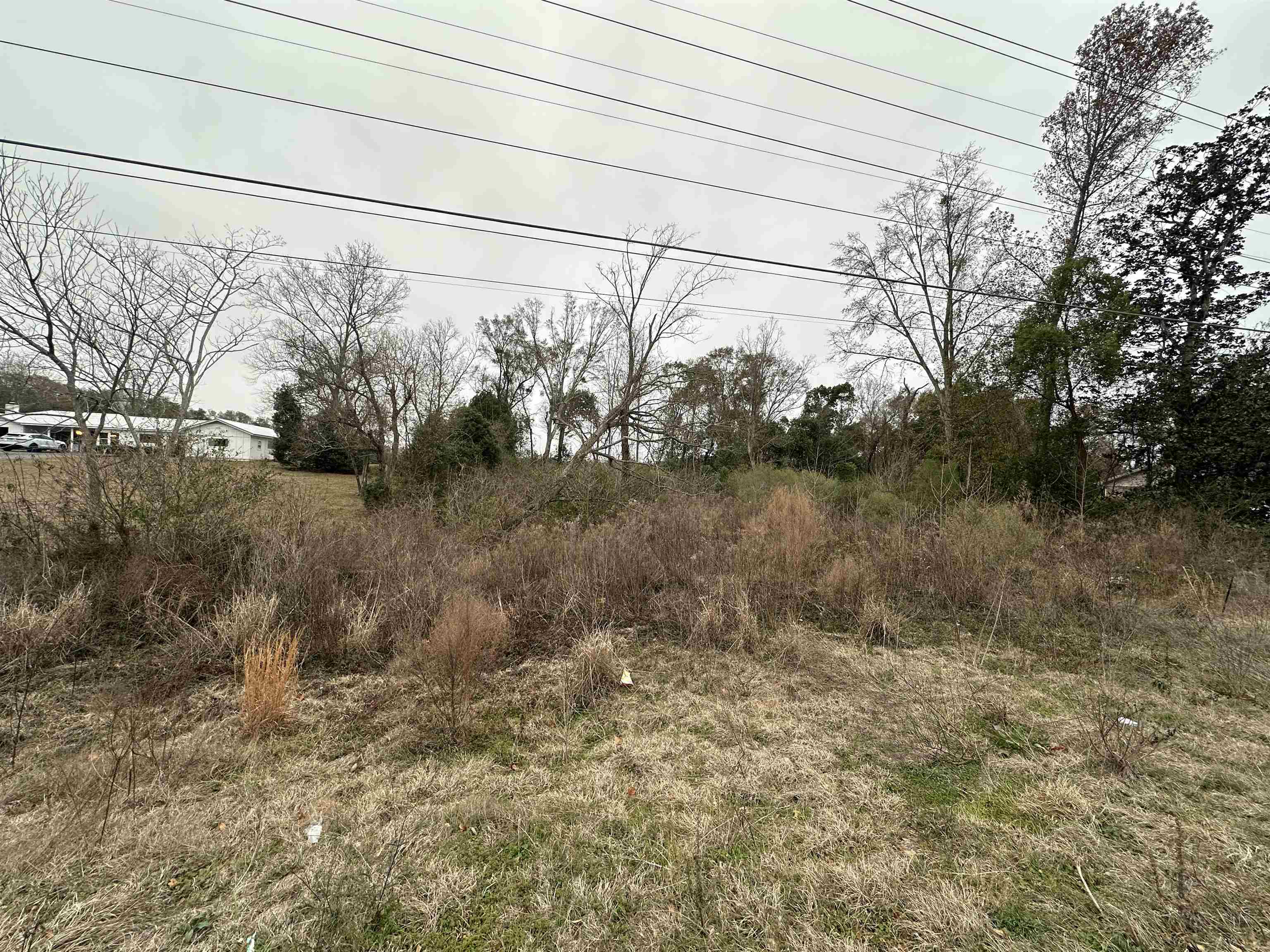 0 State Highway Robertsdale, AL 36567 - Photo 4 of 4