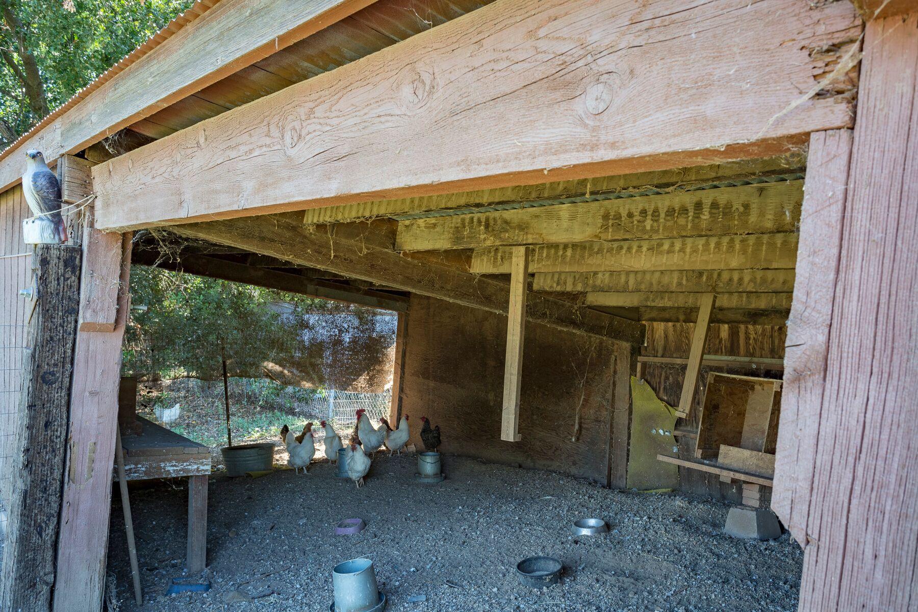 5763 Balls Ferry Road Anderson, CA 96007 - Photo 21 of 27 coop2