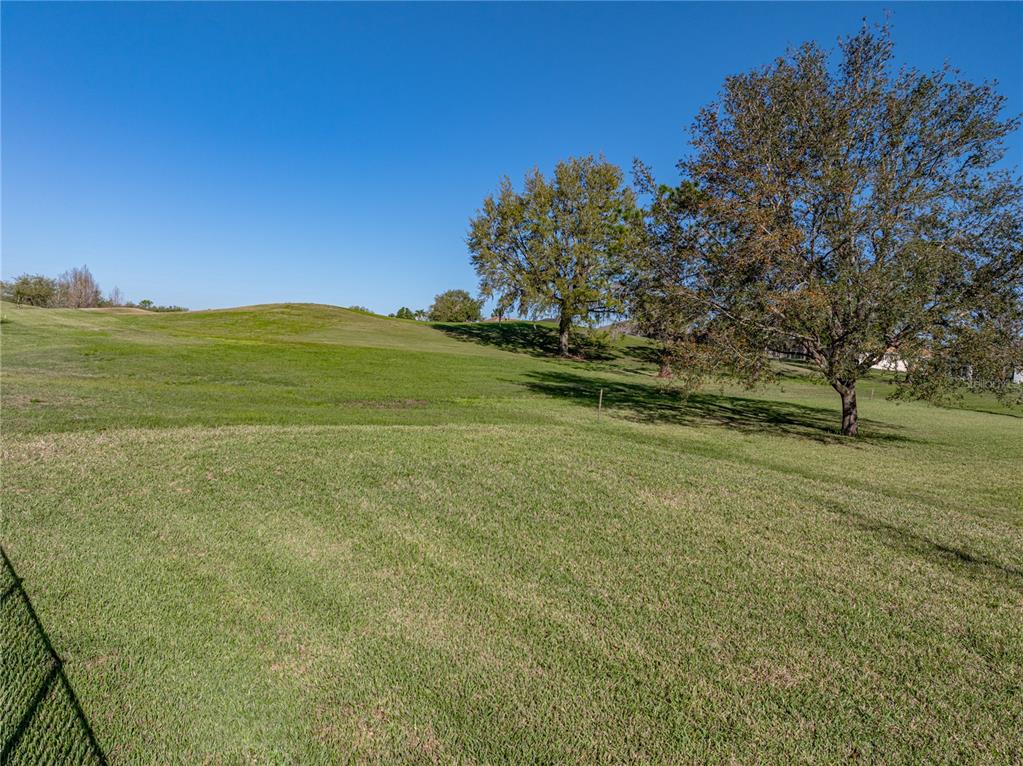 34411 Sahalee Loop Dade City, FL 33525 - Photo 61 of 78