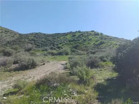 a view of a dry yard