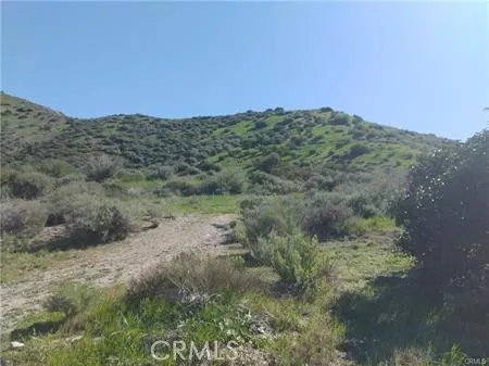 a view of a dry yard