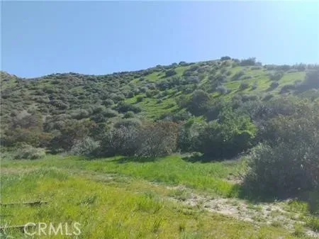 a view of a field with an ocean