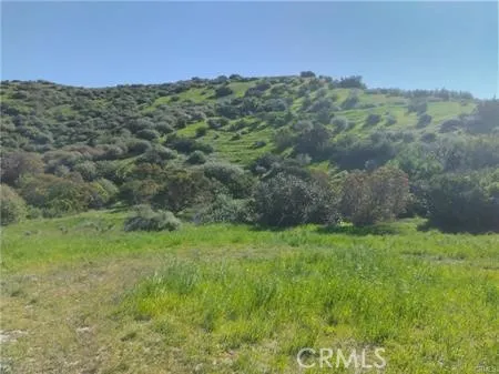 62 Las Lljas Canyon Simi Valley, CA 93063 - Photo 3 of 5 a view of a lush green space with sea