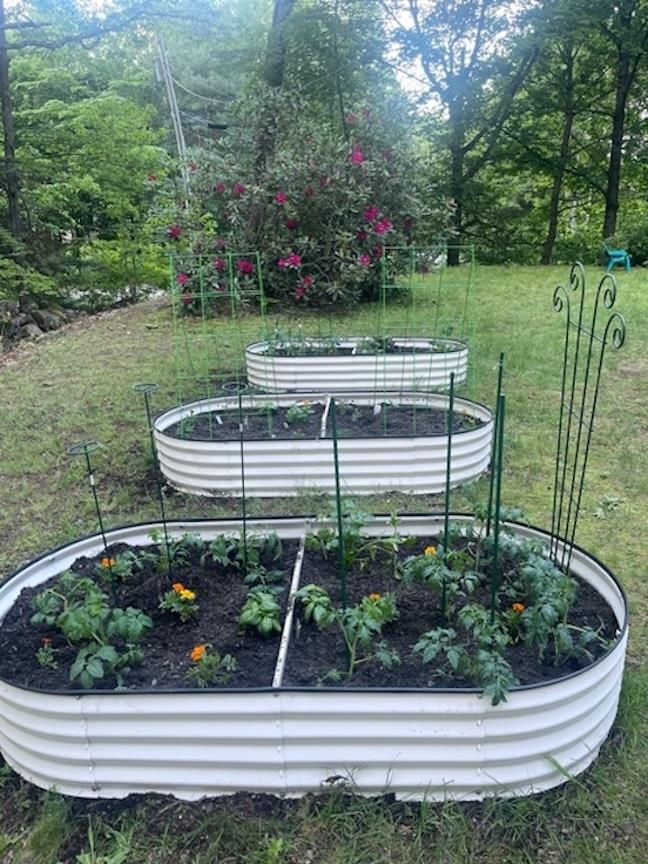 5 Woodcrest Drive Ossipee, NH 03864 - Photo 40 of 45