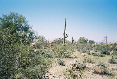 0 East Powerline Road Marana, AZ 85653 - Photo 1 of 10