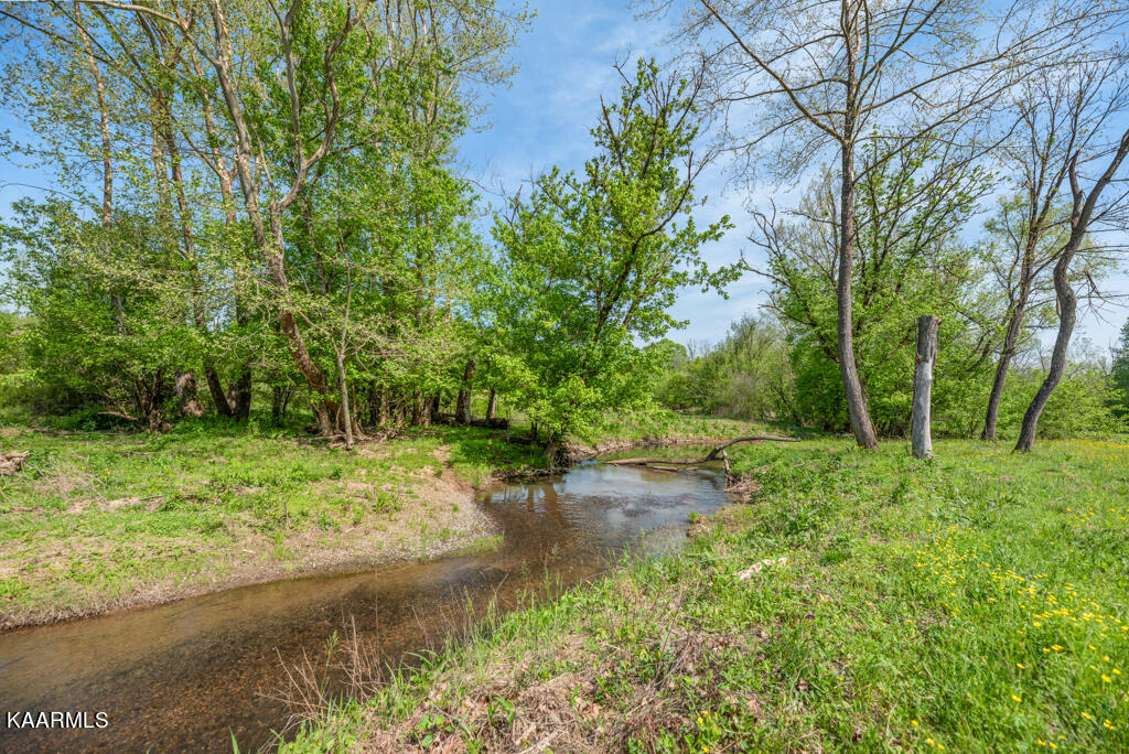 545 Bush Road Clinton, TN 37716 - Photo 46 of 56 Bush575 (150)