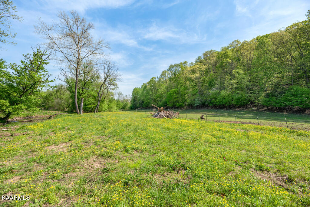 545 Bush Road Clinton, TN 37716 - Photo 47 of 56 Bush575 (147)