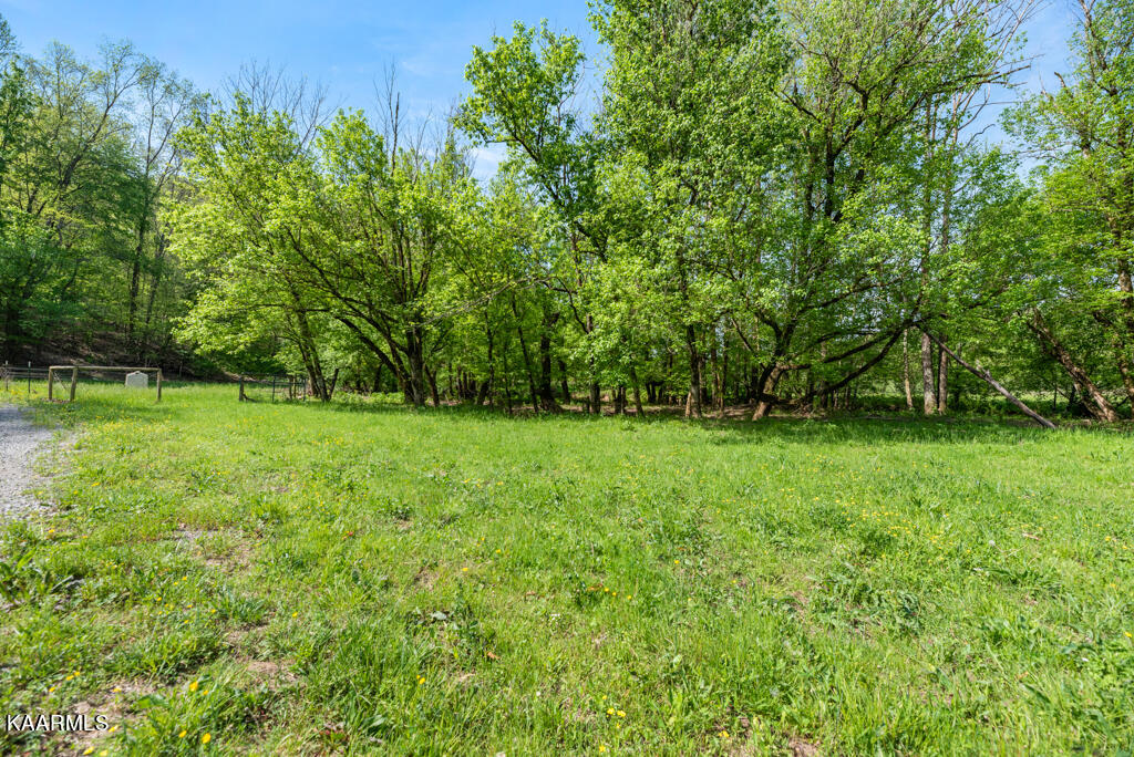 545 Bush Road Clinton, TN 37716 - Photo 49 of 56 Bush575 (153)