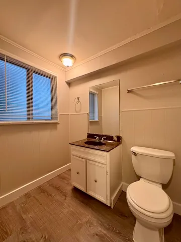 a view of a tree in the middle of a yard