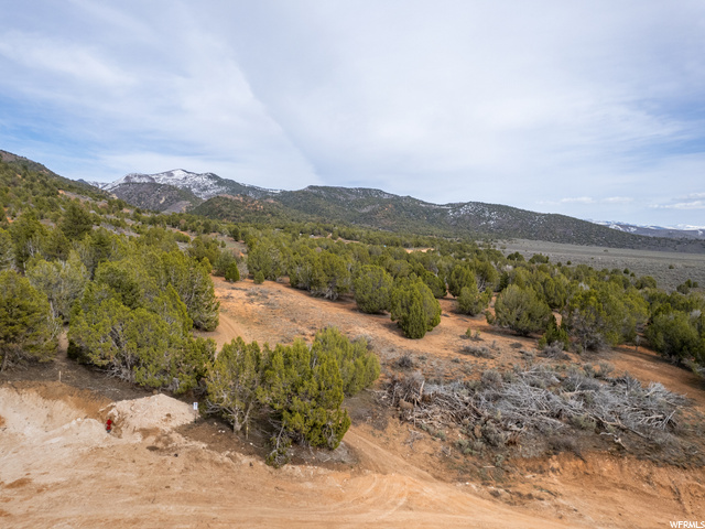 5247 Cougar Run, Unit 44 Fairview, UT 84629 - Photo 17 of 23