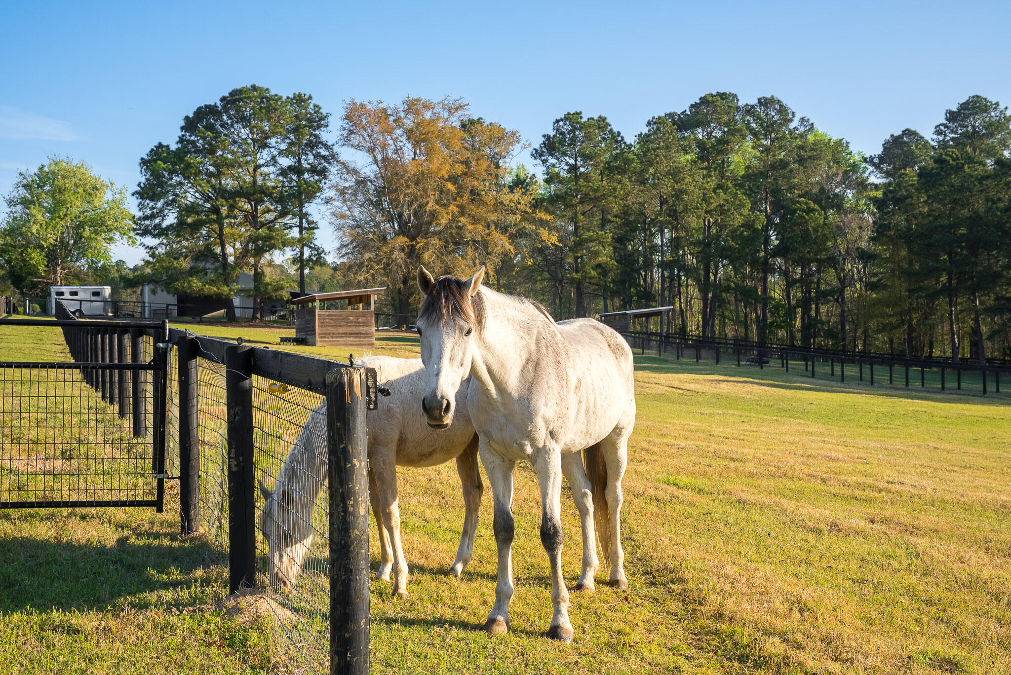 708 New Bridge Road Aiken, SC 29805 - Photo 34 of 55 Gallery Image 34