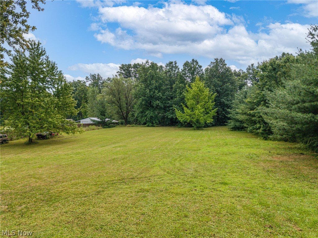 8010 Buffham Road Lodi, OH 44254 - Photo 26 of 33 Gallery Image 26