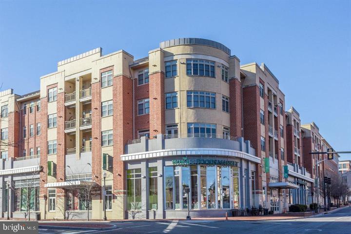 1017 Queen Street, Unit 2 Alexandria, VA 22314 - Photo 8 of 11