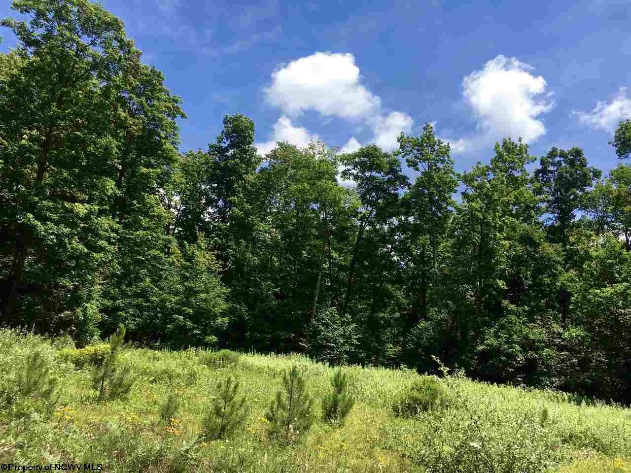 4 Cranesville Road Terra Alta, WV 26764 - Photo 1 of 18 Gallery Image 1