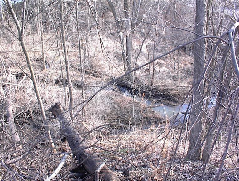 9770 Macon Road Saline, MI 48176 - Photo 5 of 13 Photo 5