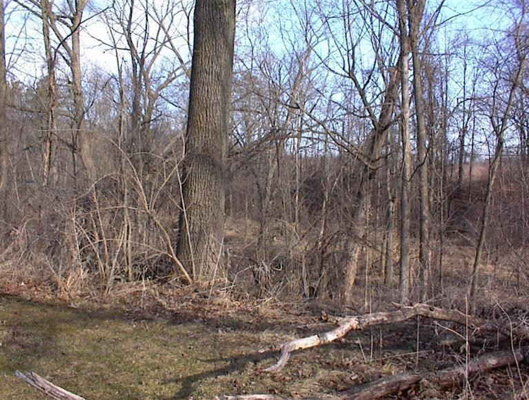 9770 Macon Road Saline, MI 48176 - Photo 6 of 13 Photo 6