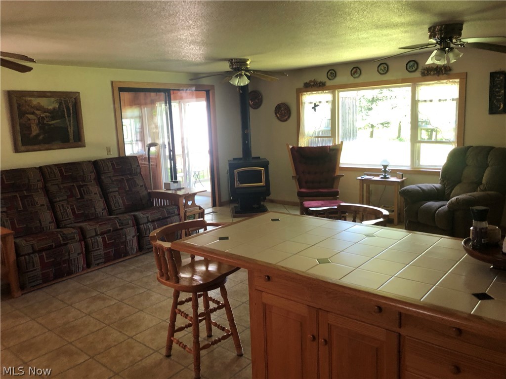 184 South Ridge Road West Conneaut, OH 44030 - Photo 20 of 29