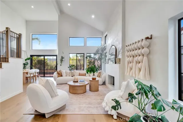 a living room with furniture or couch and a potted plant