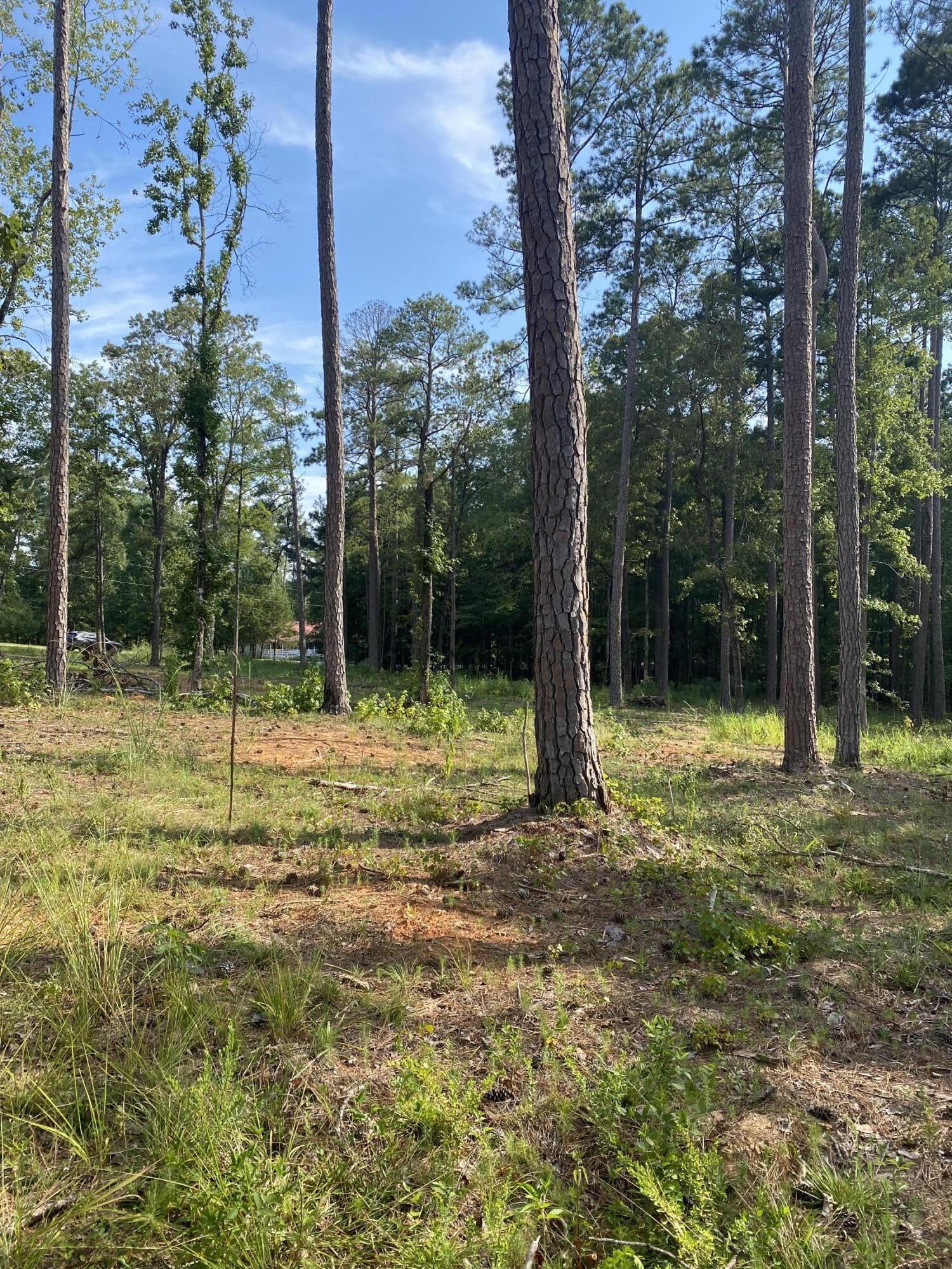 Tbd Cedar Road Plum Branch, SC 29845 - Photo 7 of 11