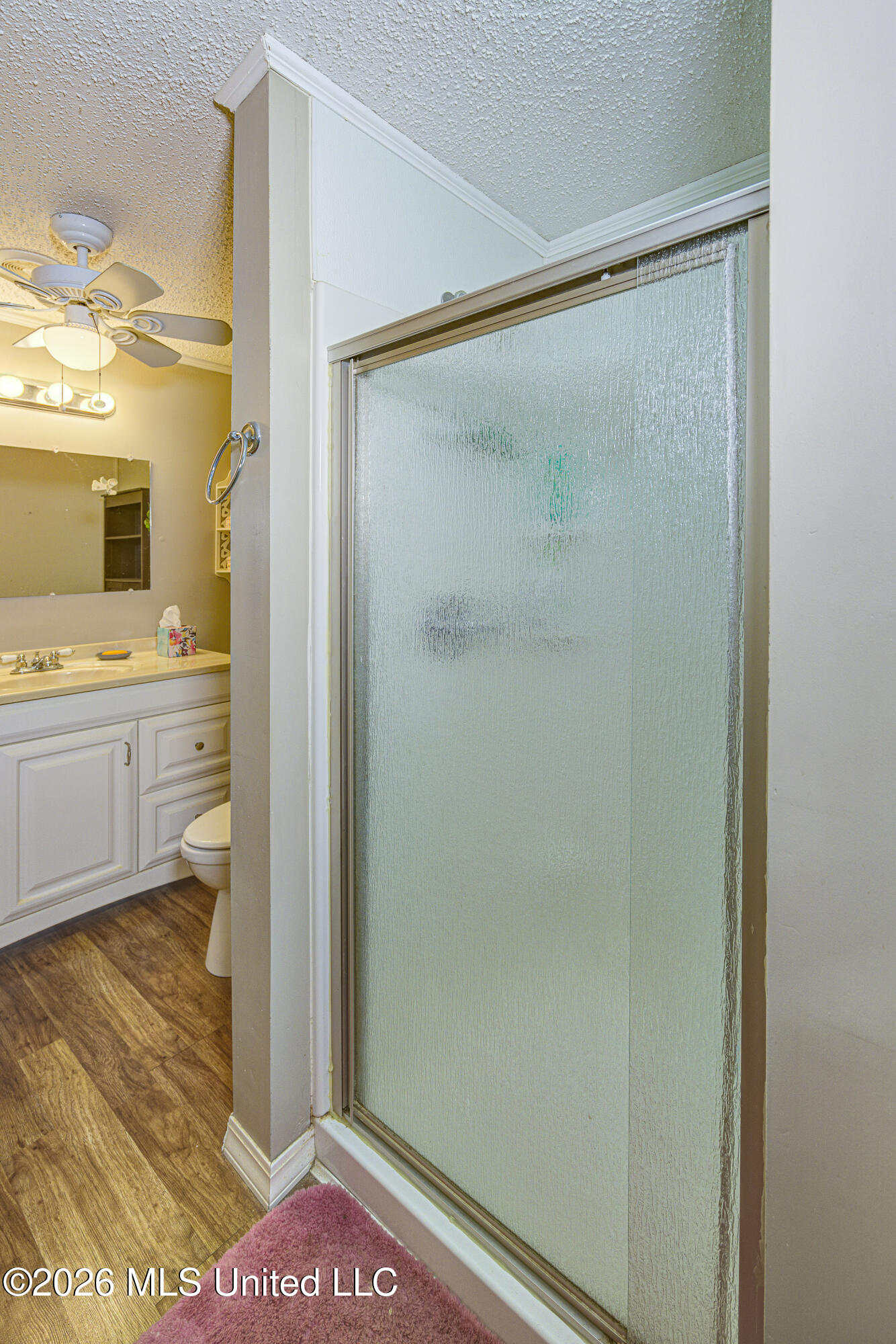 4255 Trotter Road Bolton, MS 39041 - Photo 24 of 51 21 Primary Bathroom 3