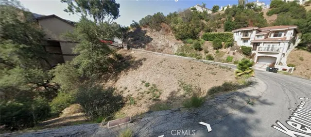 a view of a yard with plants and trees