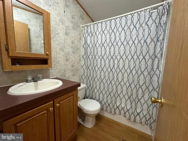 a bathroom with a toilet a sink and mirror