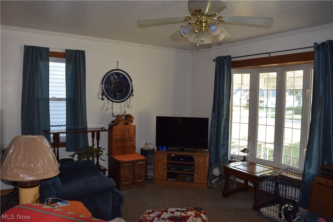 4826 Orchard Road Mentor, OH 44060 - Photo 3 of 10 Gallery Image 3