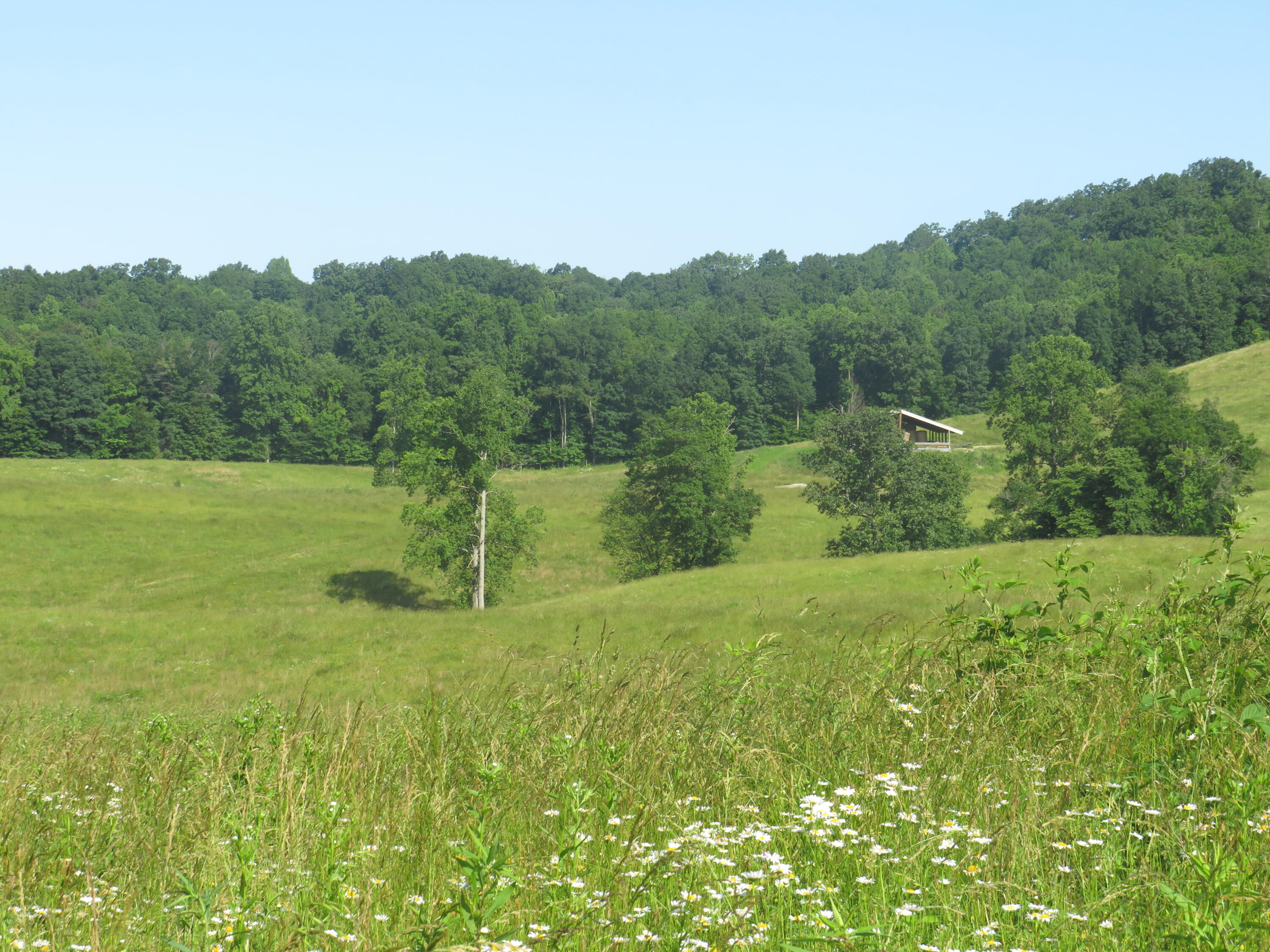 9999 Harris Cemetery Road London, KY 40741 - Photo 27 of 27 IMG_4105