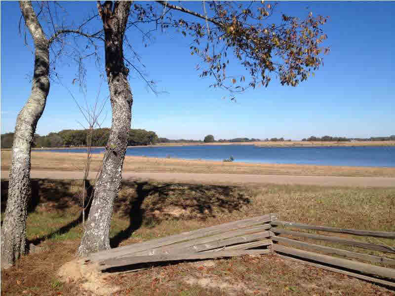 72 Churchill Place, Unit LOT 72 Madison, MS 39110 - Photo 3 of 3 Photo 3