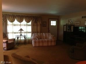 1706 Warner Road Vienna, OH 44473 - Photo 10 of 27 Gallery Image 10