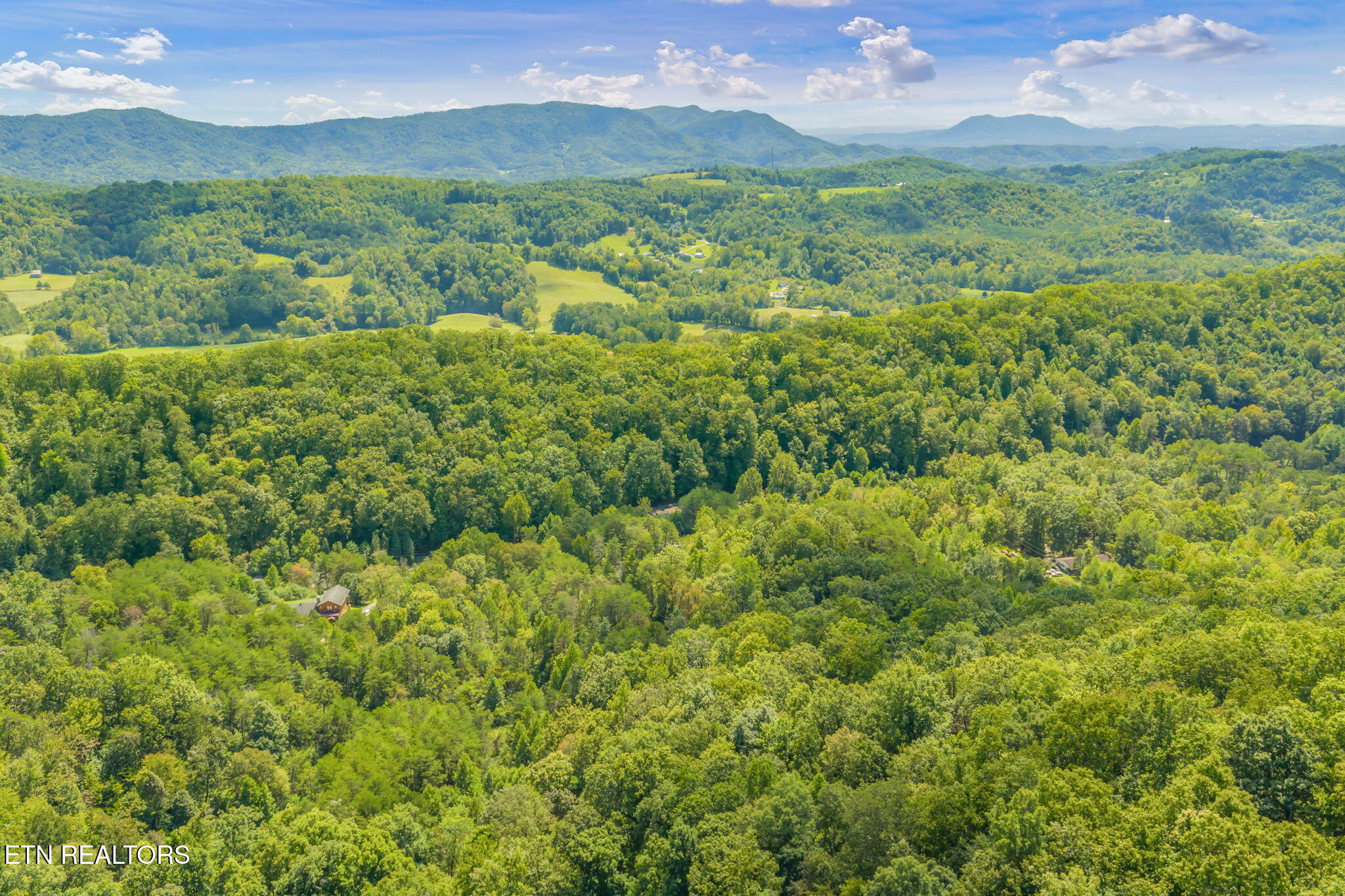 Texas Hollow Road Luttrell, TN 37779 - Photo 11 of 25 11-web-or-mls-283 Texas Hollow Road-10
