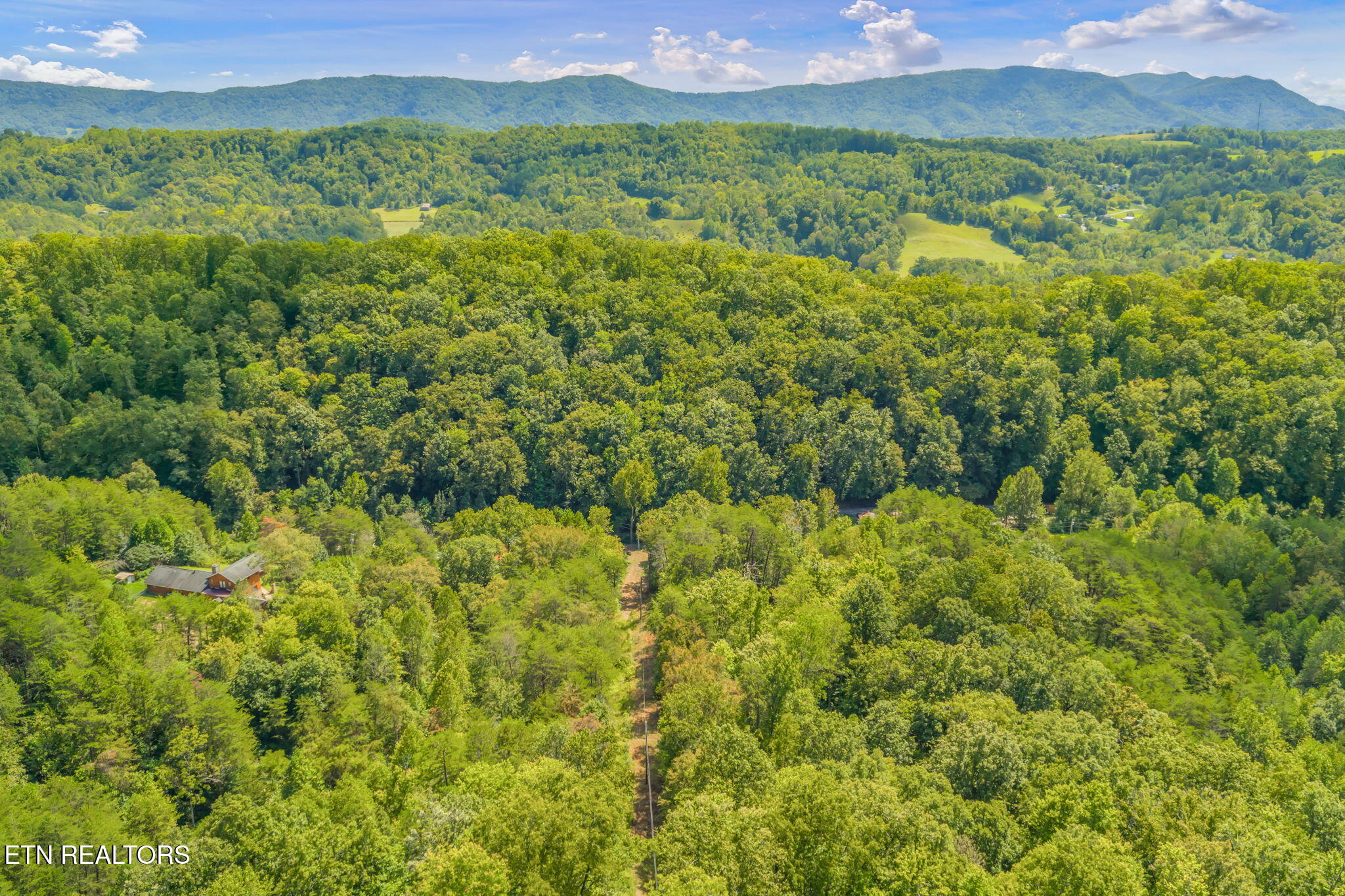 Texas Hollow Road Luttrell, TN 37779 - Photo 13 of 25 13-web-or-mls-283 Texas Hollow Road-12