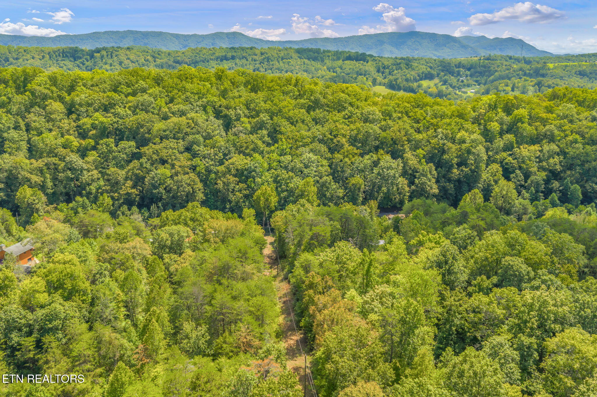 Texas Hollow Road Luttrell, TN 37779 - Photo 14 of 25 14-web-or-mls-283 Texas Hollow Road-13