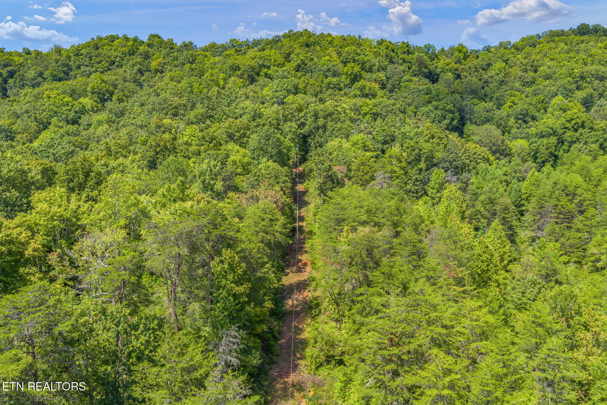 Texas Hollow Road Luttrell, TN 37779 - Photo 16 of 25 16-web-or-mls-283 Texas Hollow Road-15