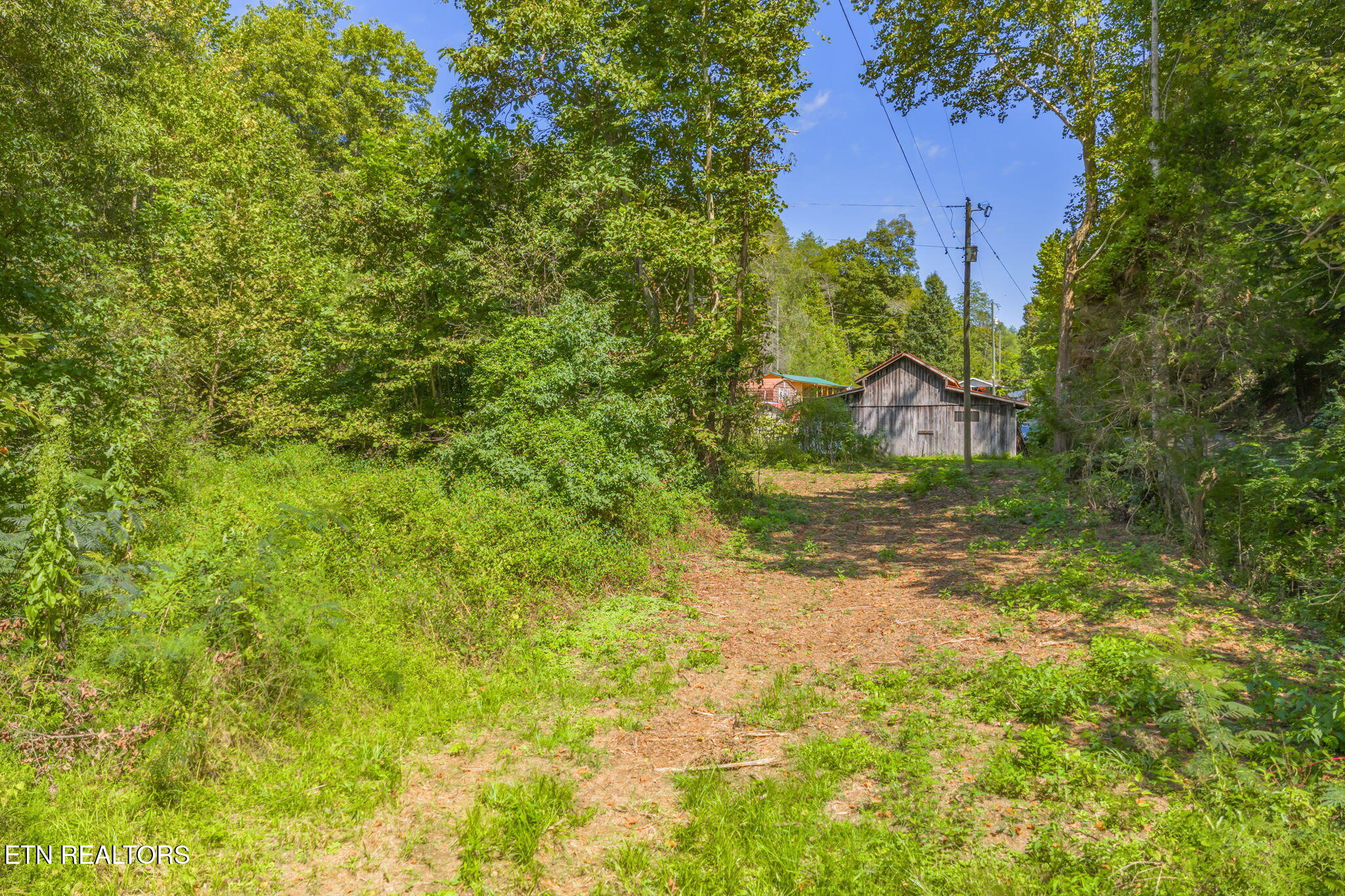 Texas Hollow Road Luttrell, TN 37779 - Photo 19 of 25 19-web-or-mls-283 Texas Hollow Road-18