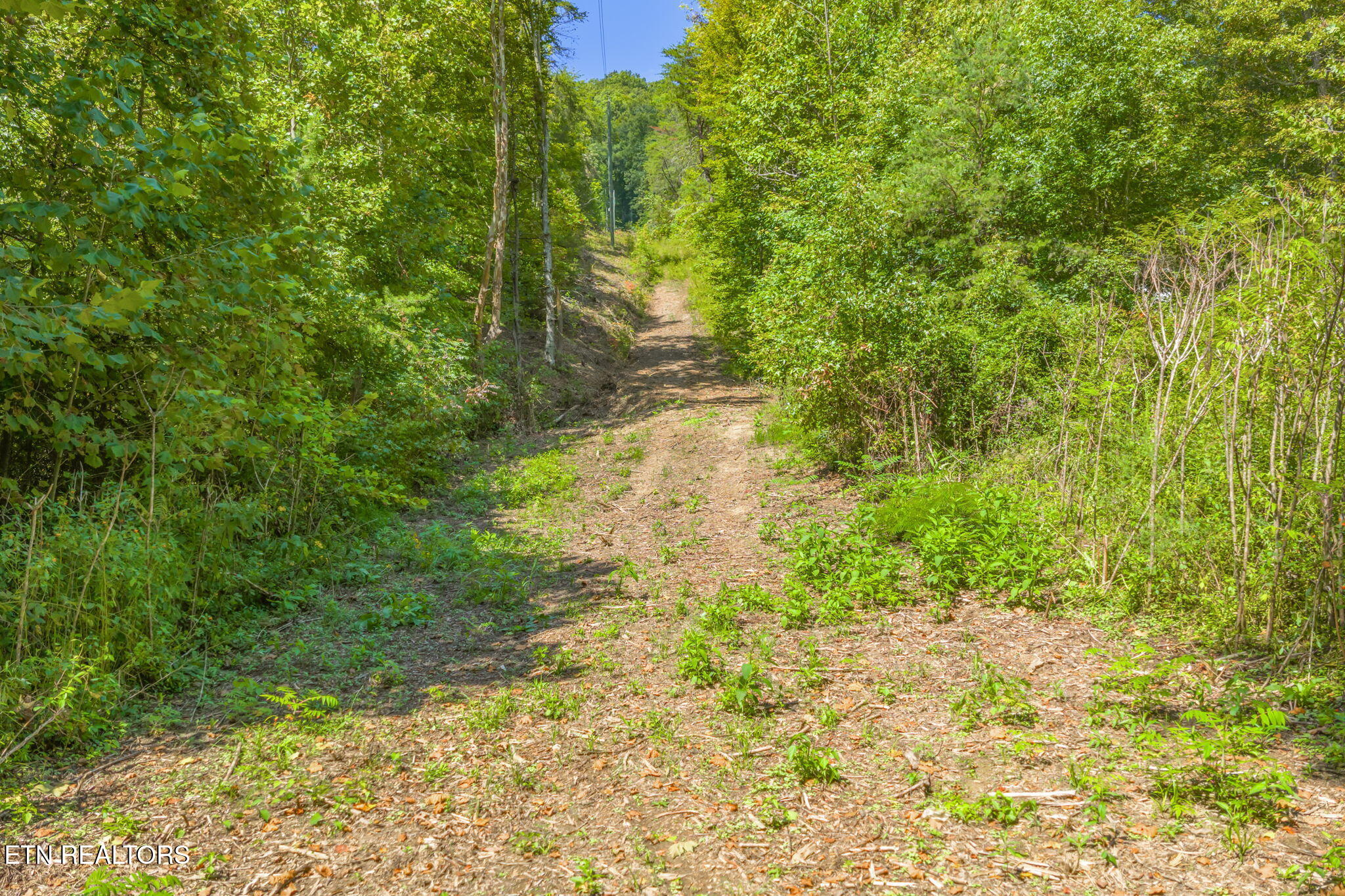 Texas Hollow Road Luttrell, TN 37779 - Photo 20 of 25 20-web-or-mls-283 Texas Hollow Road-19