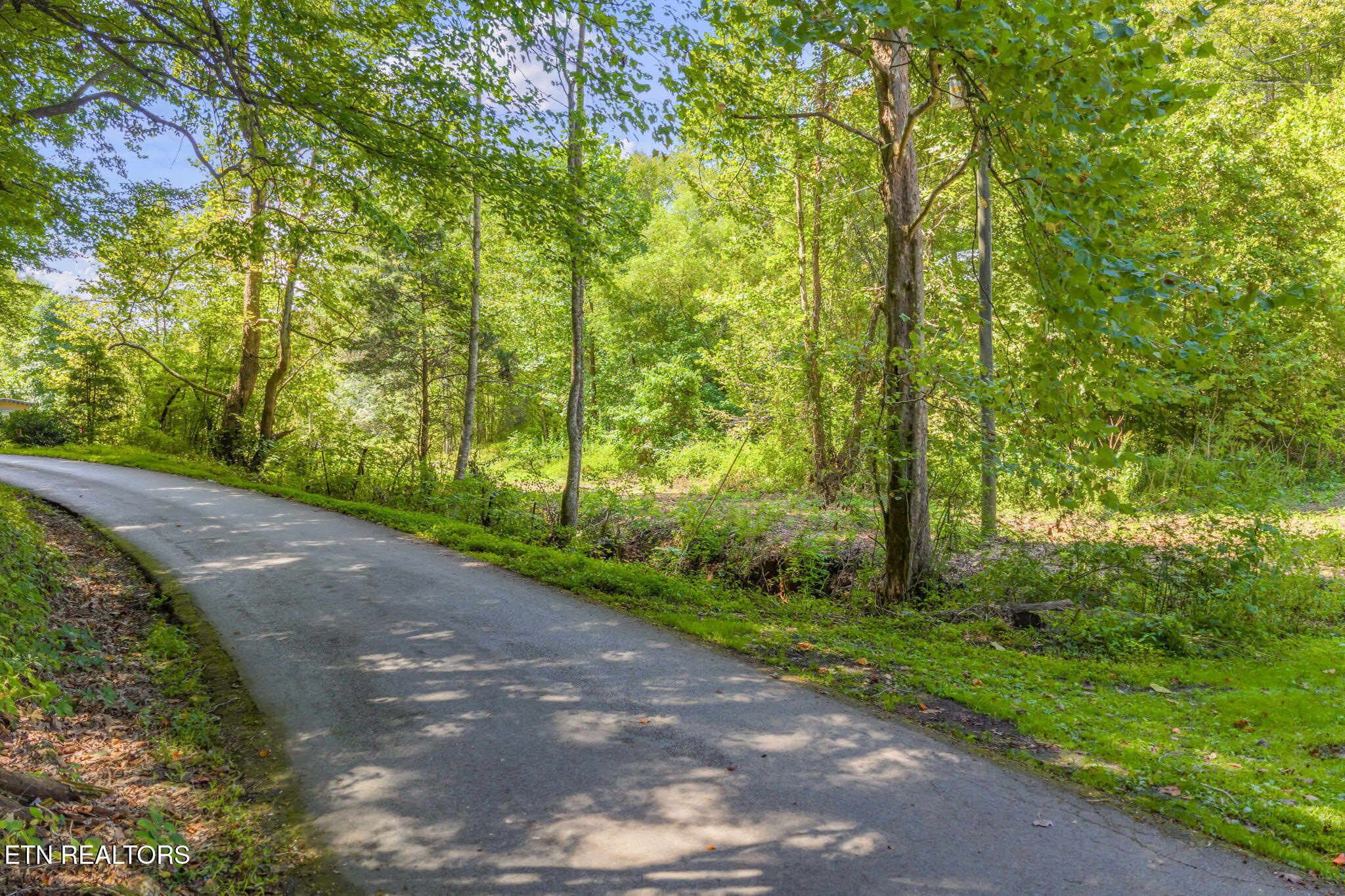 Texas Hollow Road Luttrell, TN 37779 - Photo 22 of 25 22-web-or-mls-283 Texas Hollow Road-21