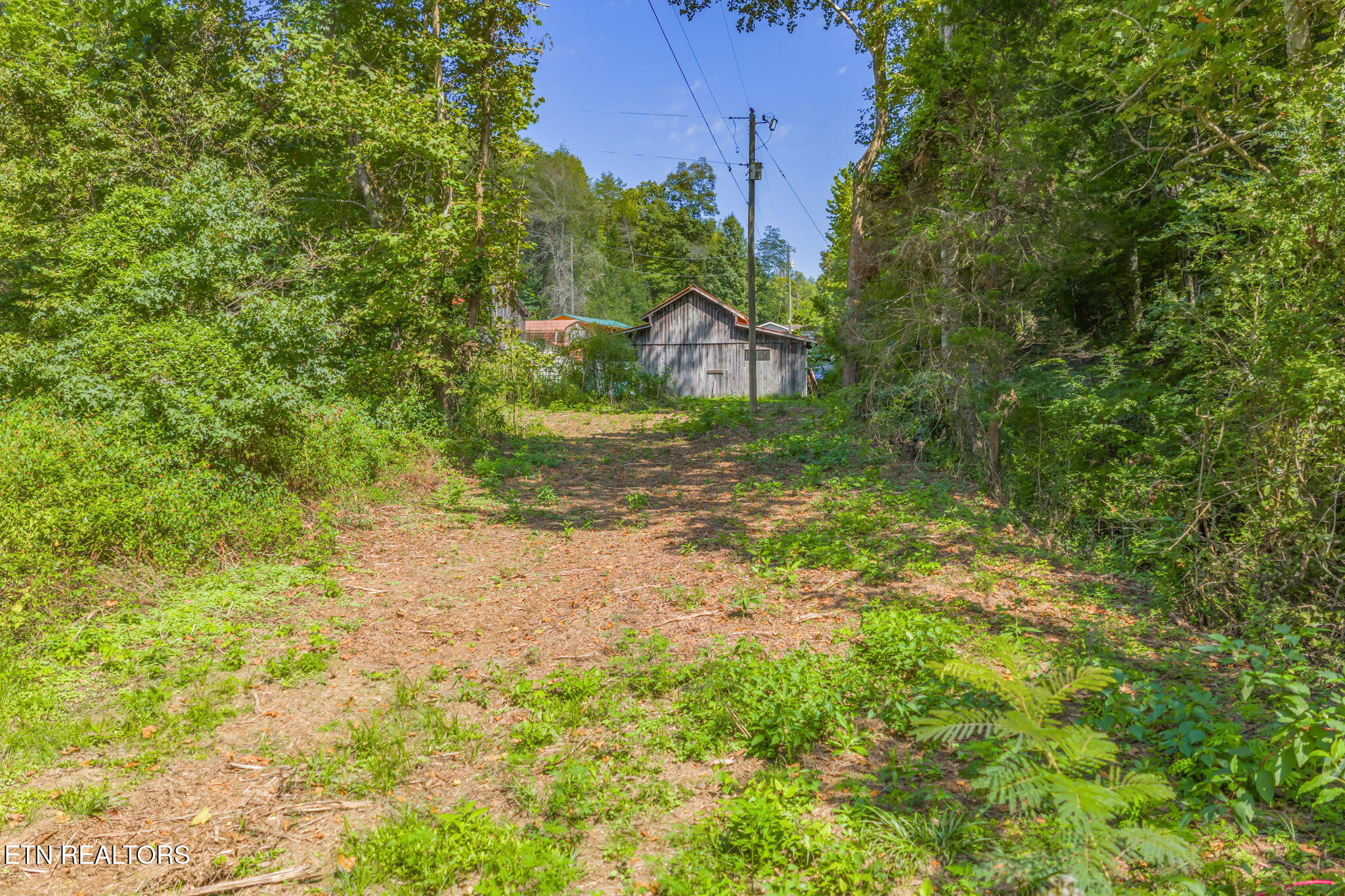 Texas Hollow Road Luttrell, TN 37779 - Photo 24 of 25 24-web-or-mls-283 Texas Hollow Road-23