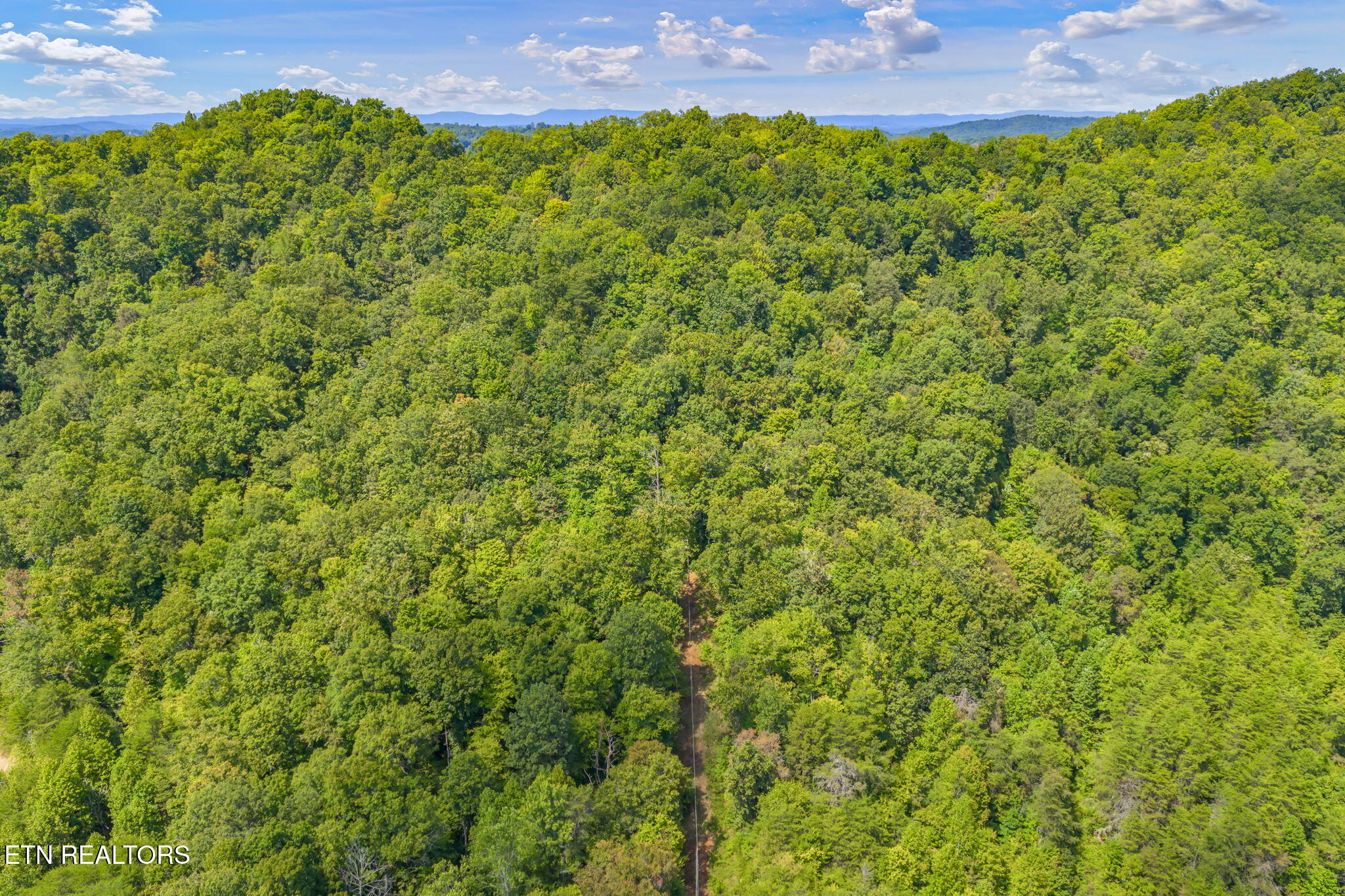 Texas Hollow Road Luttrell, TN 37779 - Photo 6 of 25 6-web-or-mls-283 Texas Hollow Road-6