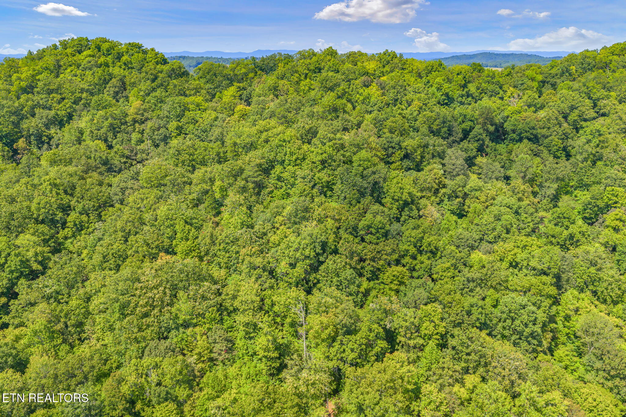 Texas Hollow Road Luttrell, TN 37779 - Photo 7 of 25 7-web-or-mls-283 Texas Hollow Road-7