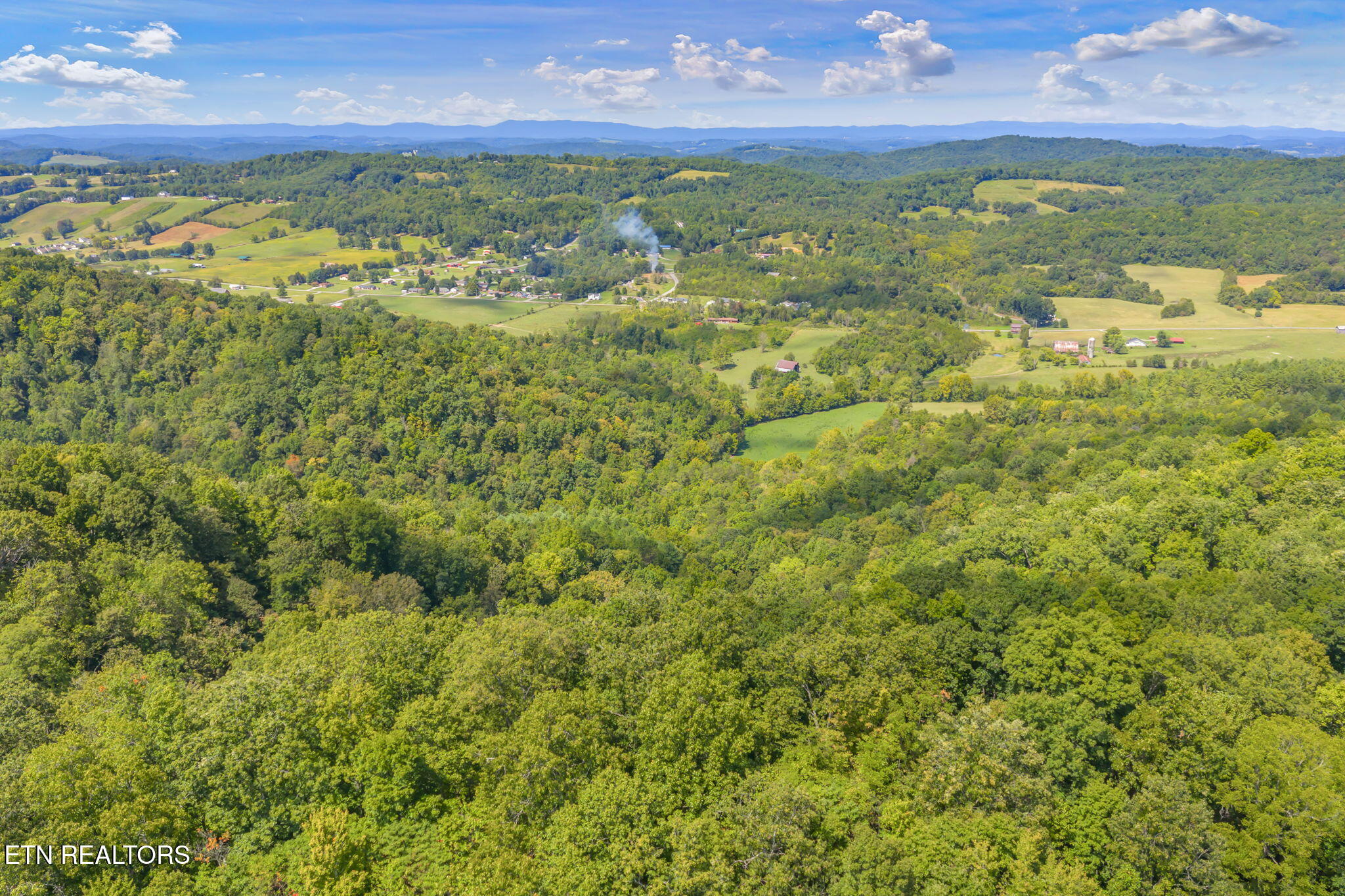 Texas Hollow Road Luttrell, TN 37779 - Photo 8 of 25 8-web-or-mls-283 Texas Hollow Road-8