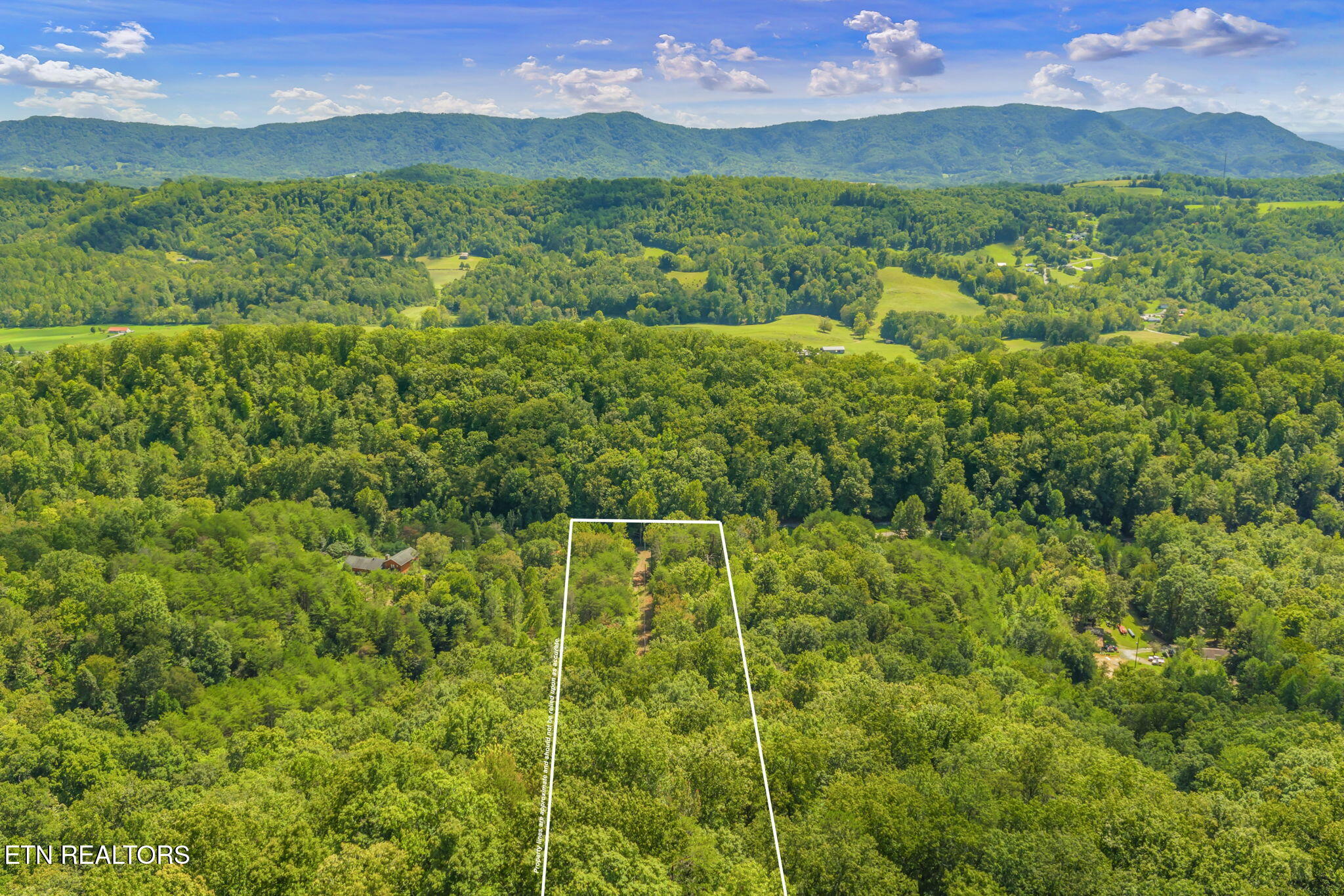 Texas Hollow Road Luttrell, TN 37779 - Photo 9 of 25 9-web-or-mls-283 Texas Hollow Road-9-1