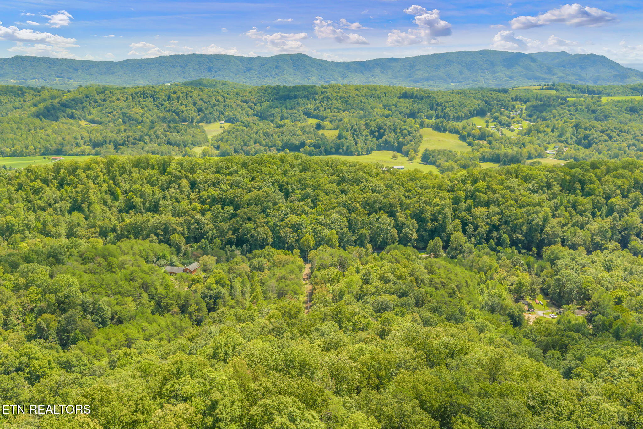 Texas Hollow Road Luttrell, TN 37779 - Photo 10 of 25 10-web-or-mls-283 Texas Hollow Road-9
