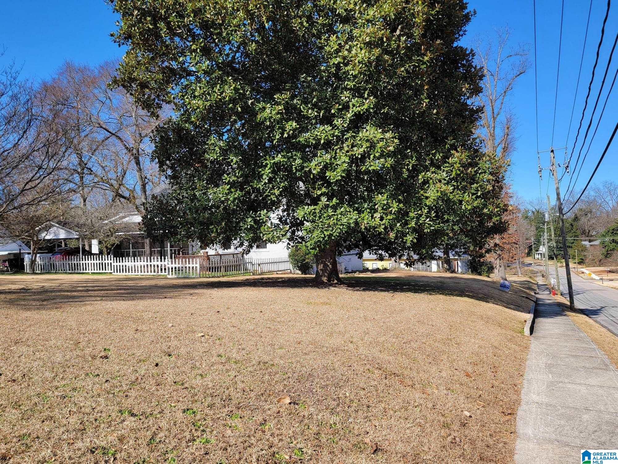 326 West Point Street Roanoke, AL 36274 - Photo 4 of 37