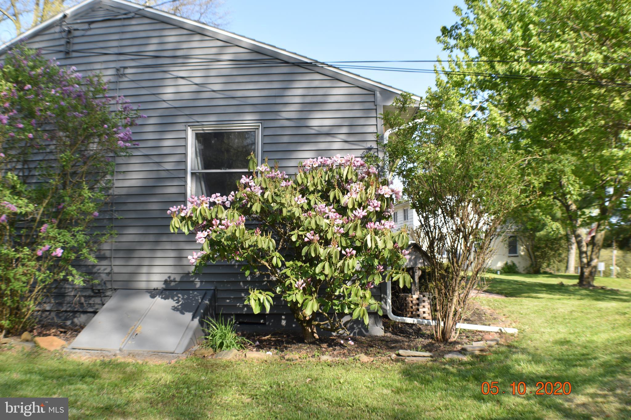 229 Dickert Road Quakertown, PA 18951 - Photo 14 of 59 Rhododendron Tree, Big beautiful flowers