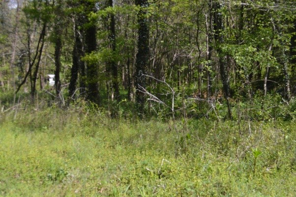Jackson Street Pendleton, SC 29670 - Photo 2 of 2